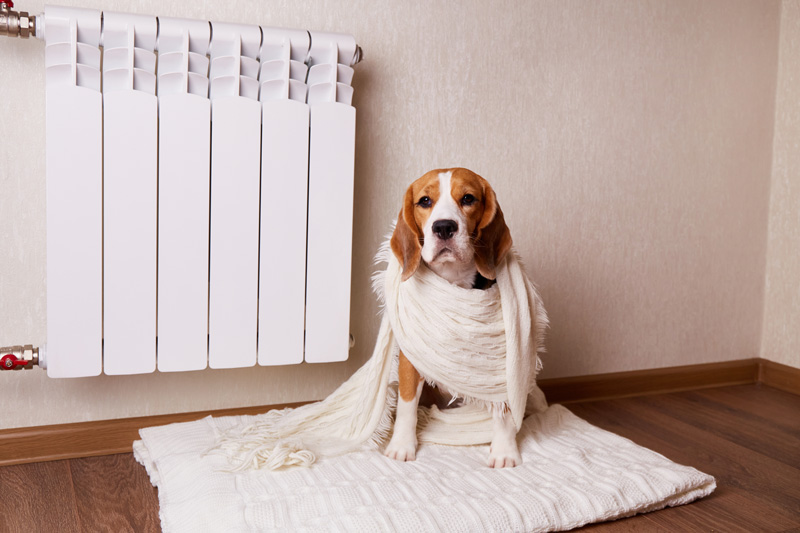 Gas or Electric Heating