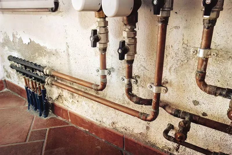 Mold Exposure Symptoms