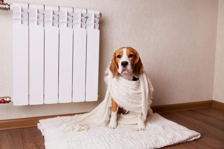 Gas or Electric Heating