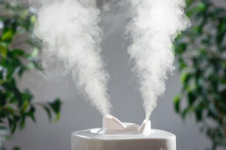 An image of an air humidifier to thwart off dry air.